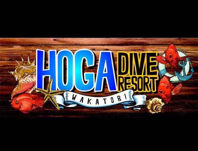 Hotel Murah di wakatobi