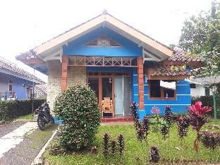 Hotel Murah di cipanas