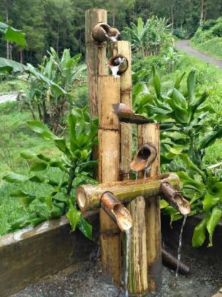 Hotel Murah di puncak