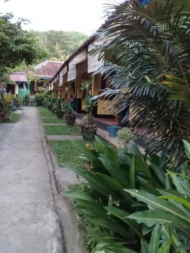 Hotel Murah di pujut