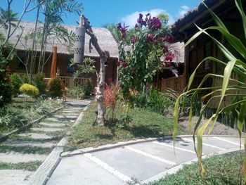 Hotel Murah di banyuwangi