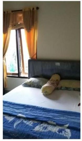 Hotel Murah di banyuwangi