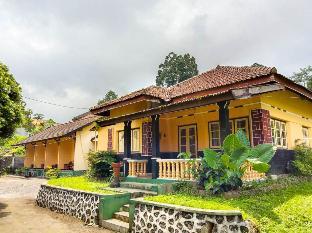 Hotel Murah di jogja