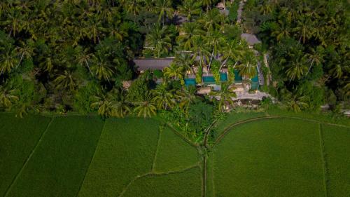 Hotel Murah di bali