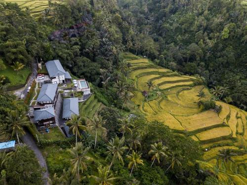 Hotel Murah di bali