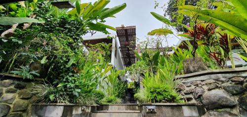 Hotel Murah di bali