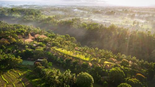 Hotel Murah di bali