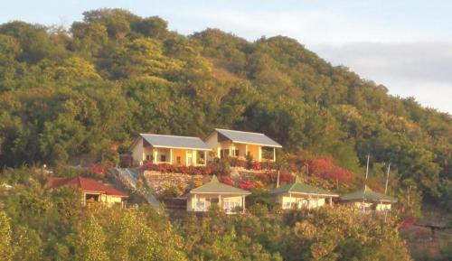 Hotel Murah di flores