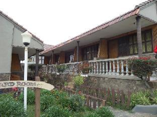 Hotel Murah di probolinggo