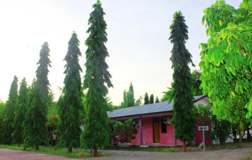 Hotel Murah di maumere