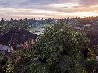 Hotel Murah di bali