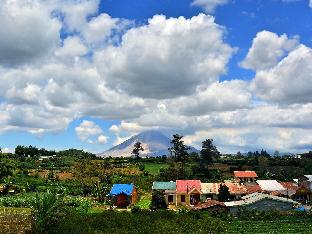 Hotel Murah di berastagi