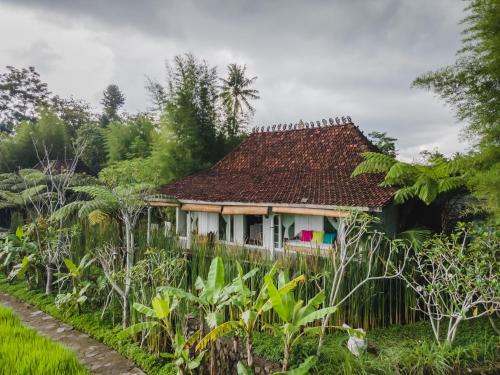 Hotel Murah di jogja