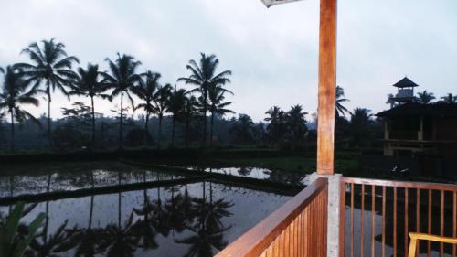 Hotel Murah di bali