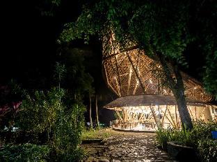Hotel Murah di bukit-lawang