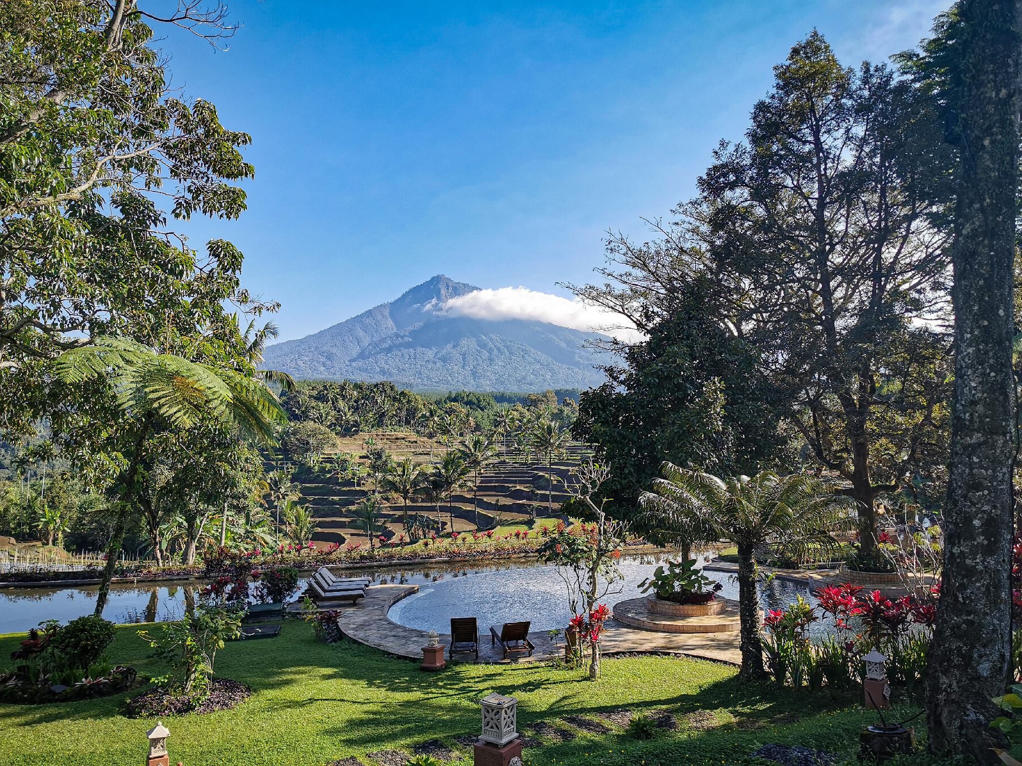 Hotel Murah di banyuwangi