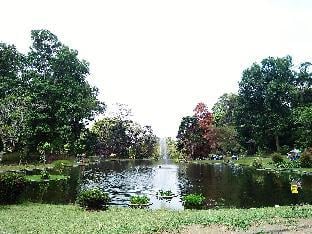 Hotel Murah di cipanas