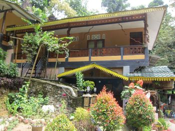 Hotel Murah di bukit-lawang