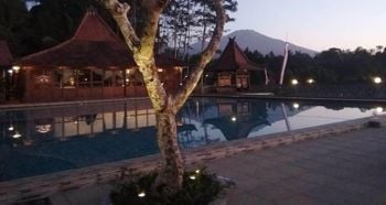 Hotel Murah di banyuwangi