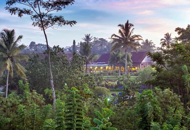 Hotel Murah di banyuwangi