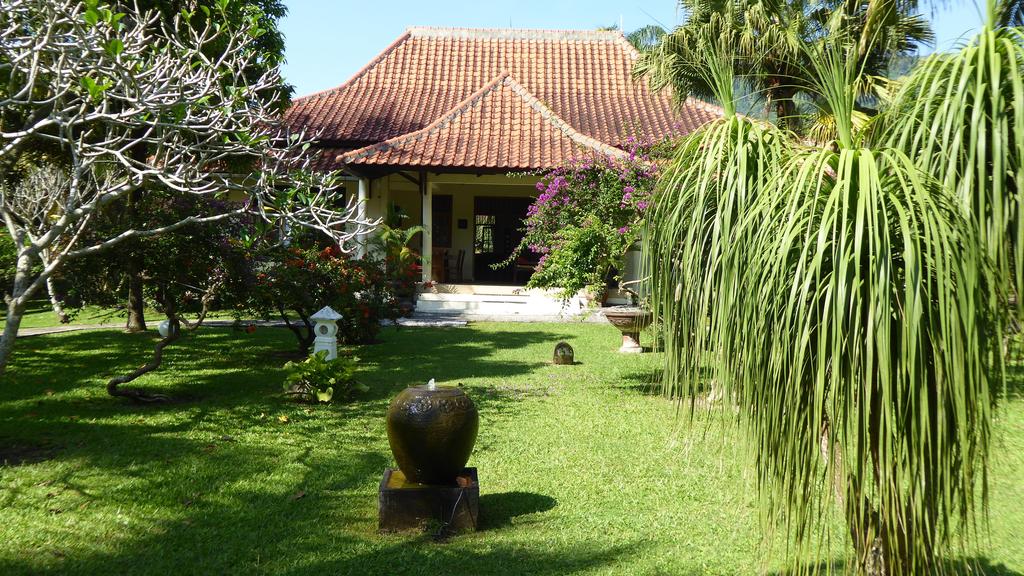 Hotel Murah di banyuwangi