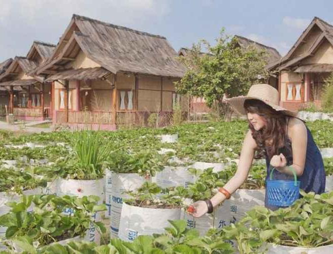 Sawung Gawir Restaurant And Bungalow Ciwidey Hotel Murah