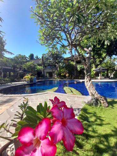 Hotel Murah di bali